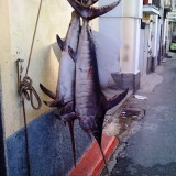 visites avec guide Calabre espadon_