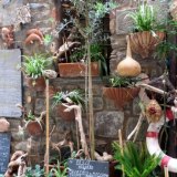 Cinq Terres 7 Maria Visites avec Guide