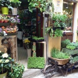 Cinq Terres 14 Maria Visites avec Guide - Copie