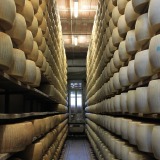 Parmigianoreggiano visites avec guide