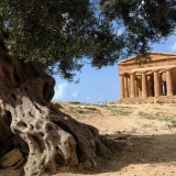 sicilia valle templi