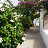 Panarea i Aeolian Islands visites avec guide