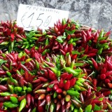 Pouilles piment Maria Visites avec Guide