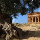 Sicile Temples Maria Visites avec Guide Italie