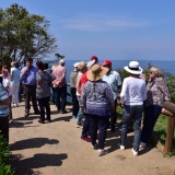 Visites avec Guide Elbe panorama