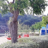 Visites avec Guide Ile Elbe Capoliveri