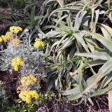 Visites avec Guide Ile Elbe -Elba Island