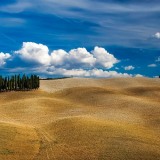 visite avec guide Toscane paesaggio colline